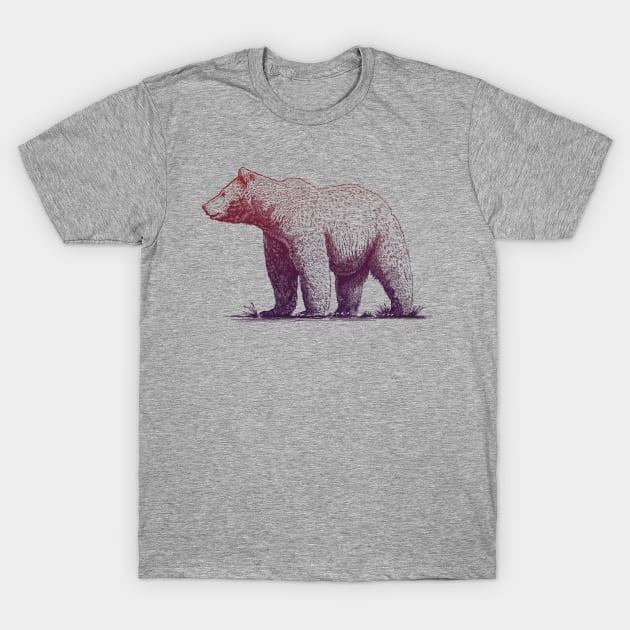 Beary Beautiful Graphic Grizzly T-Shirt by jordan_greeneyes